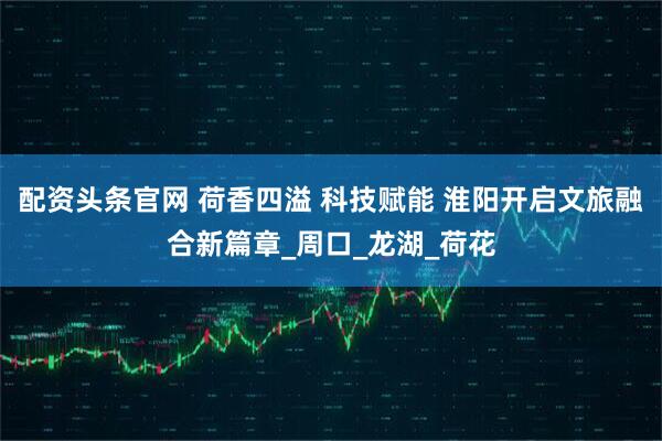 配资头条官网 荷香四溢 科技赋能 淮阳开启文旅融合新篇章_周口_龙湖_荷花