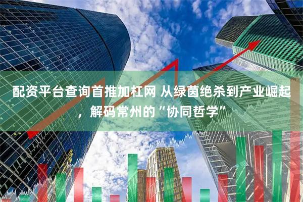 配资平台查询首推加杠网 从绿茵绝杀到产业崛起，解码常州的“协同哲学”