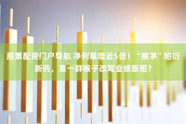 股票配资门户导航 净利暴增近5倍！“猴茅”昭衍新药，靠一群猴子改写业绩版图？