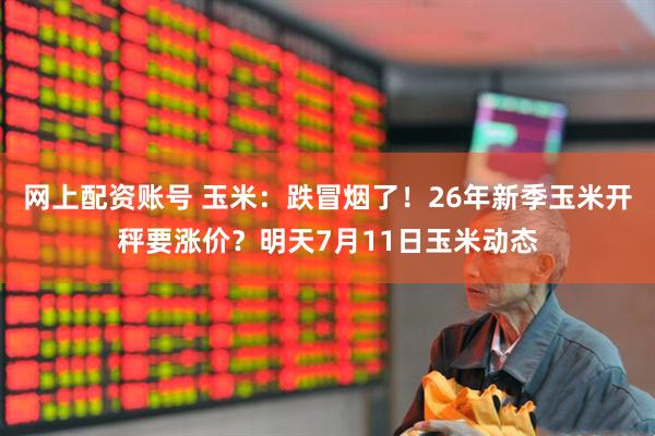网上配资账号 玉米：跌冒烟了！26年新季玉米开秤要涨价？明天7月11日玉米动态