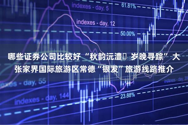 哪些证券公司比较好 “秋韵沅澧・岁晚寻踪” 大张家界国际旅游区常德“银发”旅游线路推介