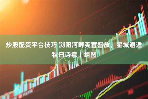 炒股配资平台技巧 浏阳河畔芙蓉盛放，星城邂逅秋日诗意丨组图